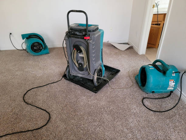 Best Flood restoration services  in Cypress Landing, NC