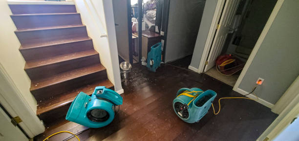 Best Fire Damage Restoration  in Cypress Landing, NC