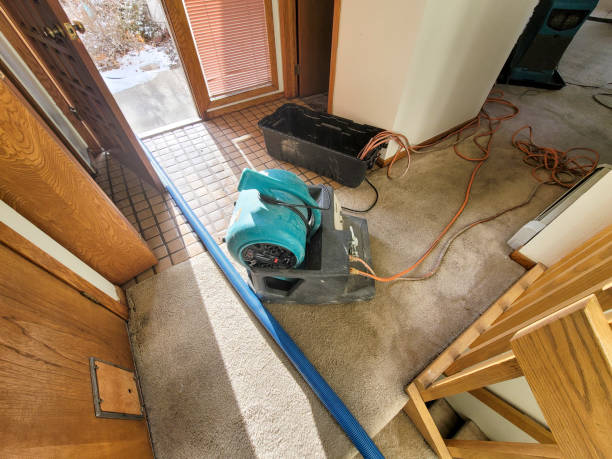 Best Mold removal after water damage  in Cypress Landing, NC