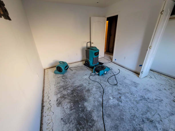 Best Emergency water damage restoration  in Cypress Landing, NC