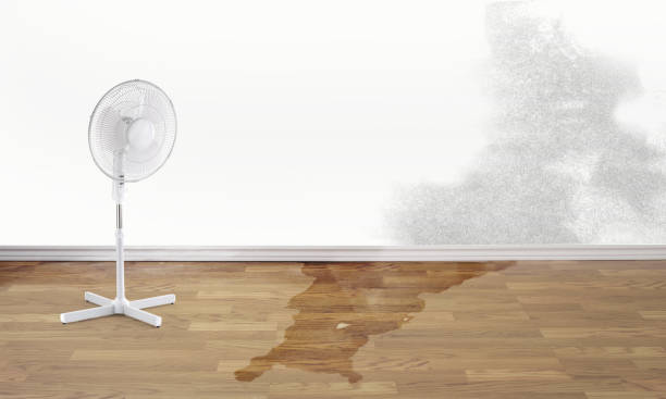 Water damage restoration process in NC