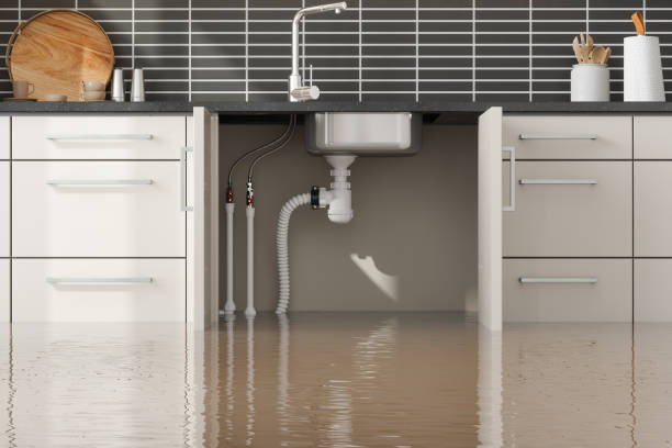 Best Water damage cleanup near me  in Cypress Landing, NC